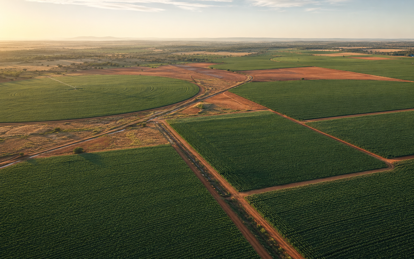 Aerial view of productive agricultural fields
